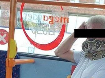 UK Bus Passenger Uses Live Sna...